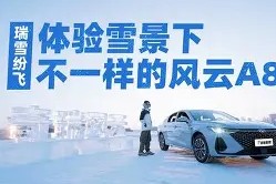 易游体育平台-佩莱里亚空降京城，亚泰转会传言再起风云的简单介绍